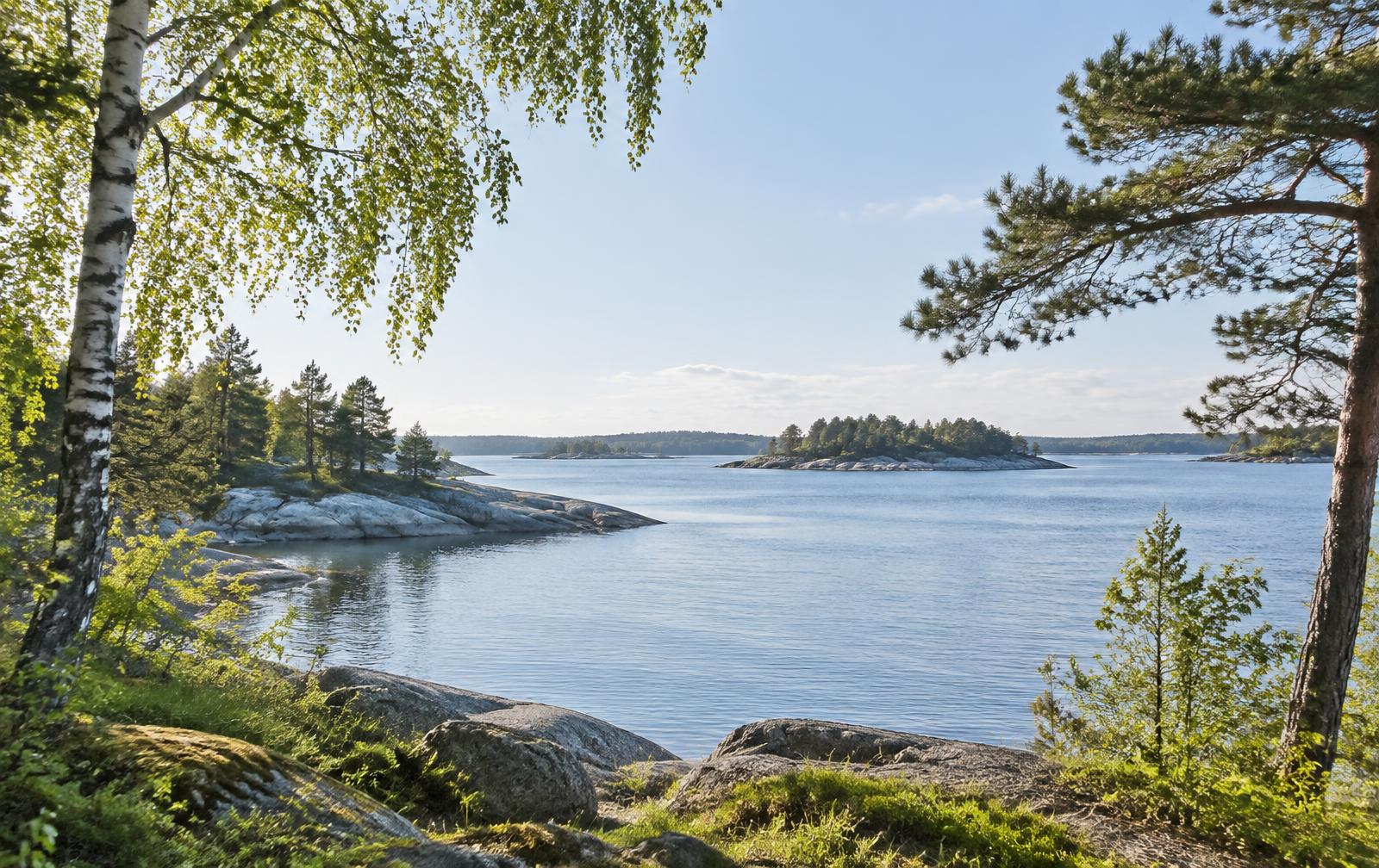 Lugn svensk skärgård med hav och träd